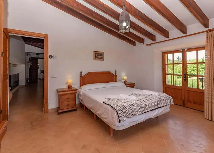 Toni By Sealand Pollensa